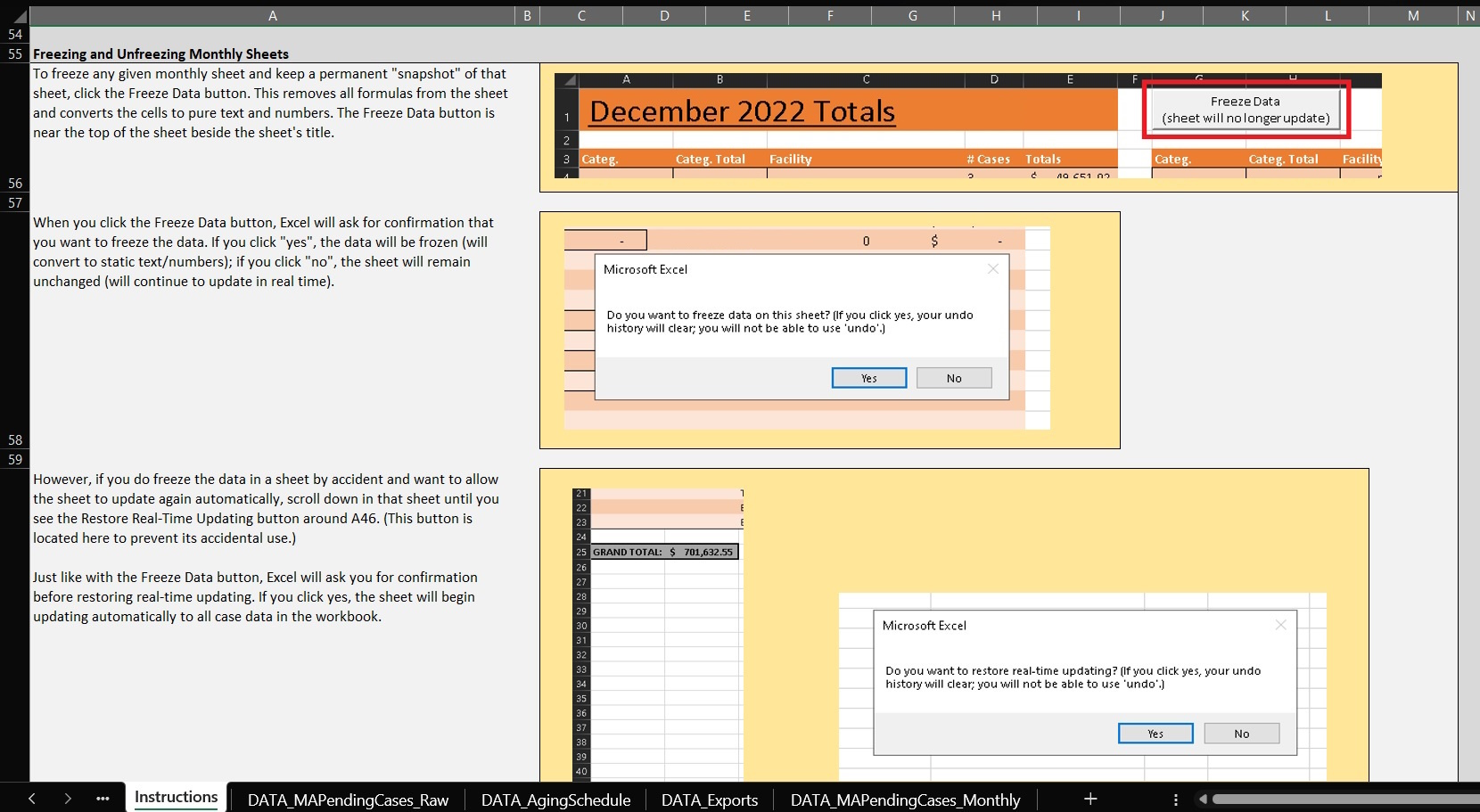 Screenshot of instructions for how to use a specific Excel document